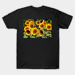 Sunflower Cluster T-Shirt